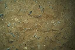 08 IM002862.jpg